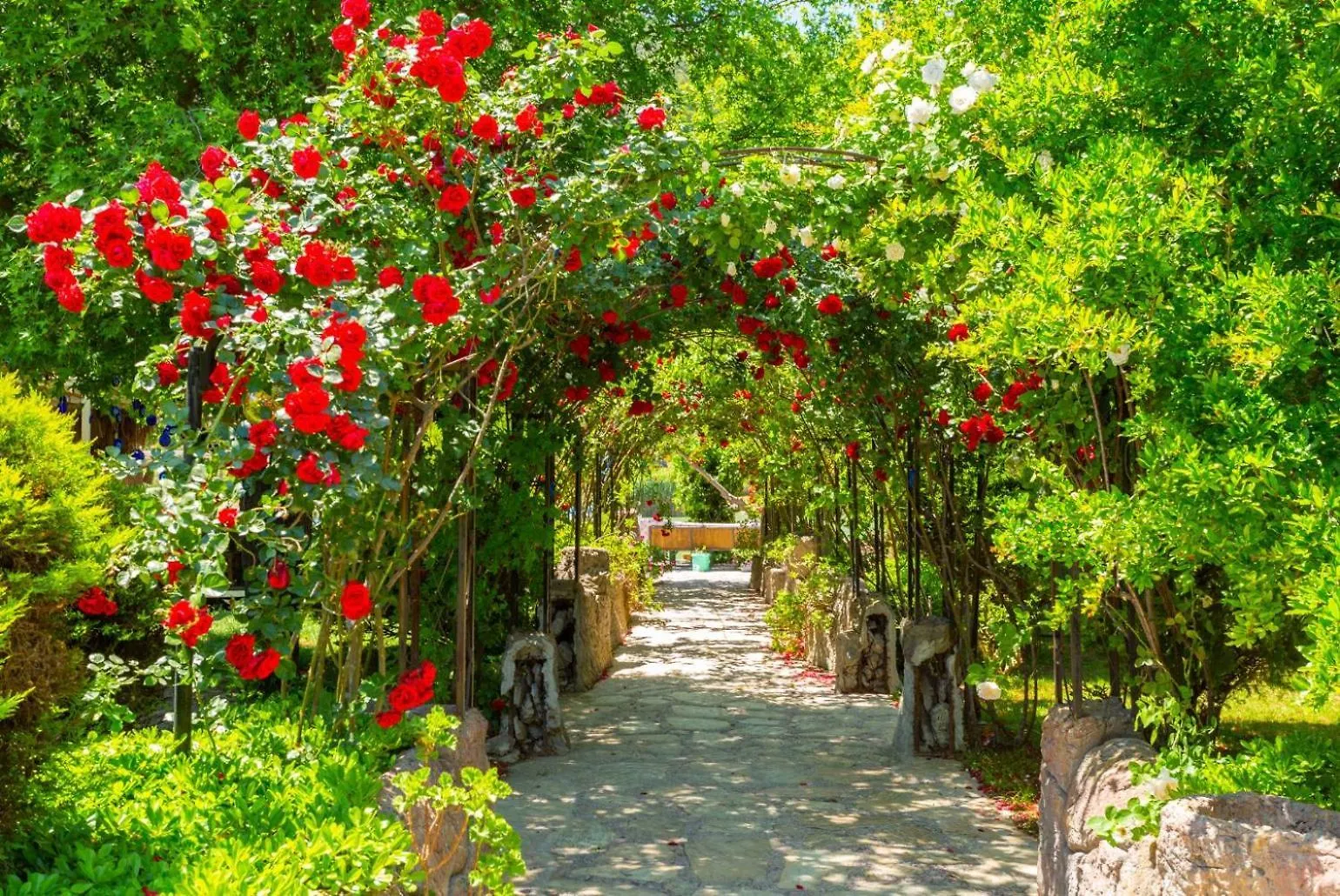 Villa Elmas Paradise Dalyan 0*,